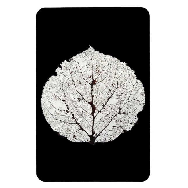 Aspen Leaf Skeleton 1 Magnet (Vertical)