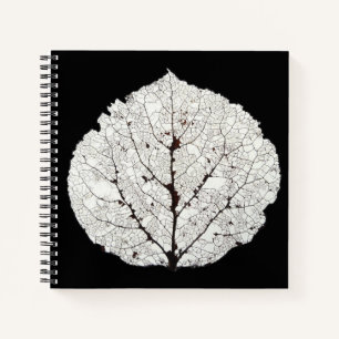 Aspen Leaf Skeleton 1 Notebook