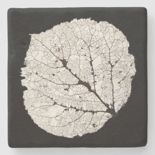 Aspen Leaf Skeleton 1 Stone Coaster