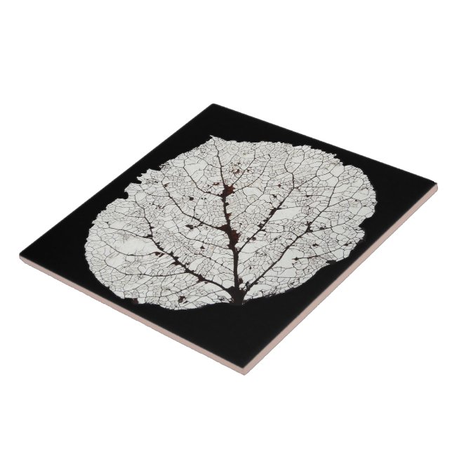 Aspen Leaf Skeleton 1 Tile (Side)