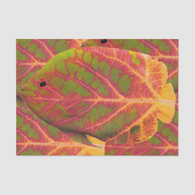 Aspen Leaf Tropical Fish 1 Tissue Paper (Front)