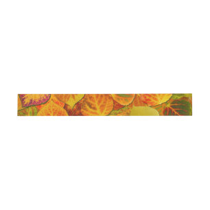 Aspen Leaves Collage Solid Medley 1 Invitation Belly Band