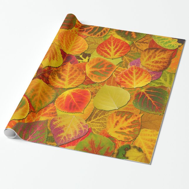 Aspen Leaves Collage Solid Medley 1 Wrapping Paper (Unrolled)
