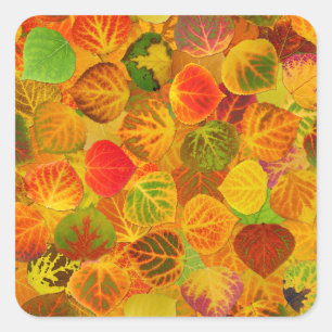 Aspen Leaves collage solid medley seamless 1 Square Sticker
