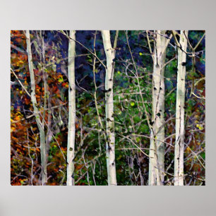 Aspen Poster
