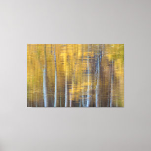 Aspen Reflections Canvas Print