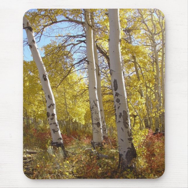 Aspen Splendour Mouse Mat (Front)