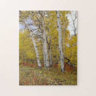 Aspen Splendour Nature Puzzle