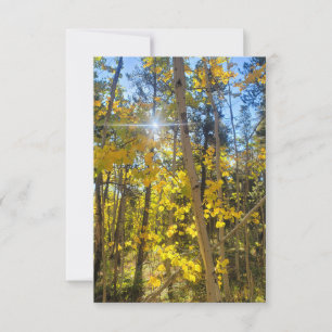 Aspen Sun Card