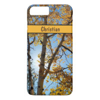 Aspen Tree Golden  Fall Foliage Arizona