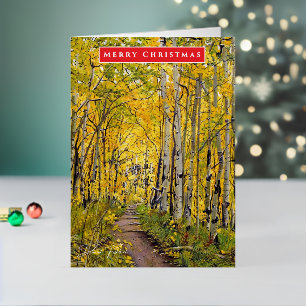 Aspen Tree Holiday or Ocassion Greeting Card