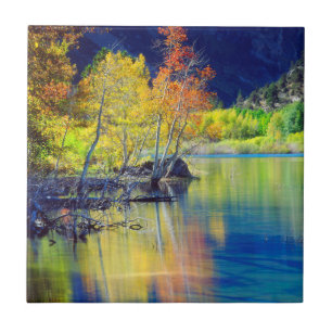 Aspen tree in autumn reflecting in Grant Lake Tile