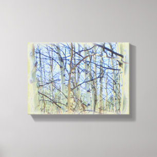 Aspen tree photo canvas print