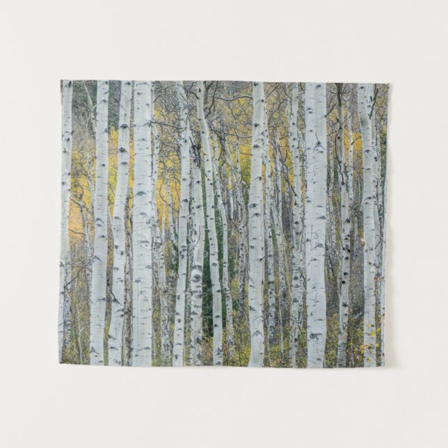 Aspen Tree Trunks | Aspen, Colorado Tapestry (Front (Horizontal))