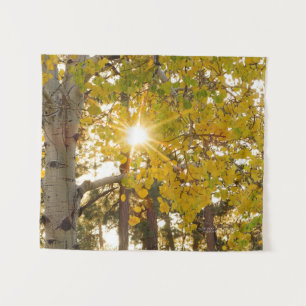 Aspen Tree With Yellow Fall Foliage Sunburst 34x40 Tapestry