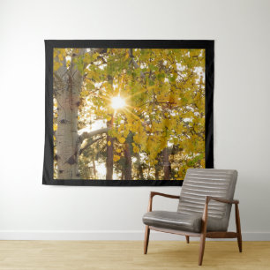 Aspen Tree With Yellow Fall Foliage Sunburst 68x80 Tapestry