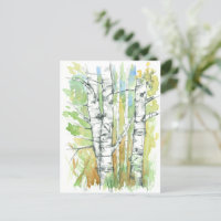 Aspen Trees Carved Heart White Bark Nature