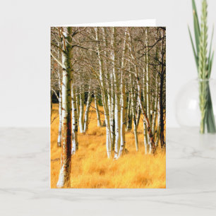 aspen trees greeting card