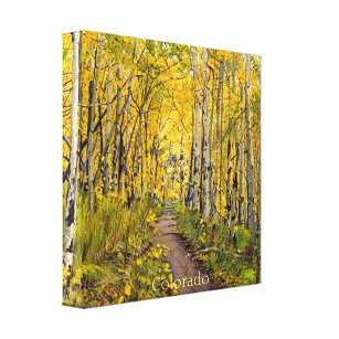 Aspen Trees In Autumn Canvas Print