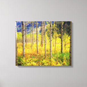 Aspen Trees in Autumn in the Rockies Canvas Print