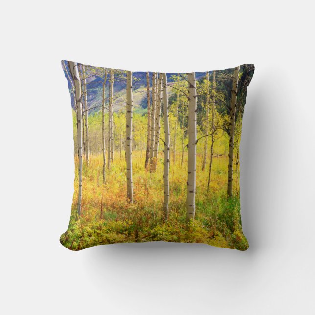 Aspen Trees in Autumn in the Rockies Cushion (Front)