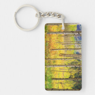 Aspen Trees in Autumn in the Rockies Key Ring