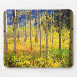 Aspen Trees in Autumn in the Rockies Mouse Mat