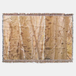 Aspen Trees in Autumn Sun Throw Blanket
