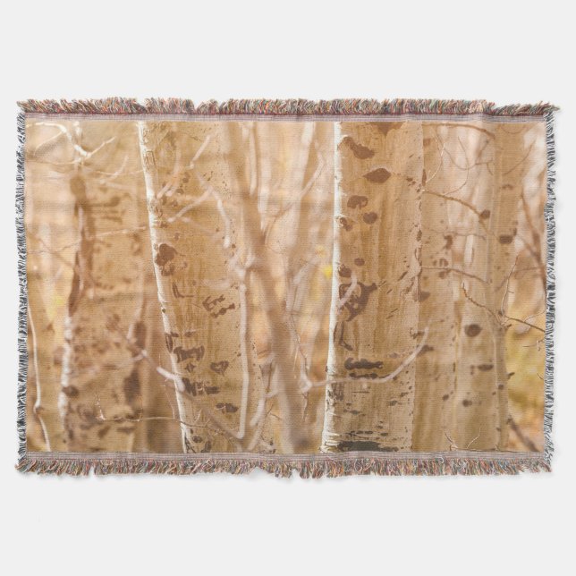 Aspen Trees in Autumn Sun Throw Blanket (Front)