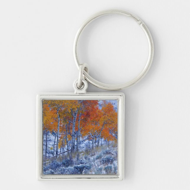 Aspen trees in Fall colours, Bighorn Mountains, Key Ring (Front)