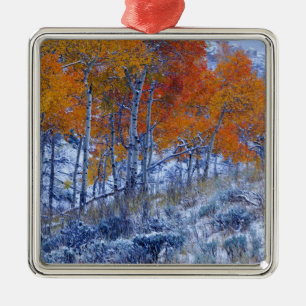 Aspen trees in Fall colours, Bighorn Mountains, Metal Tree Decoration