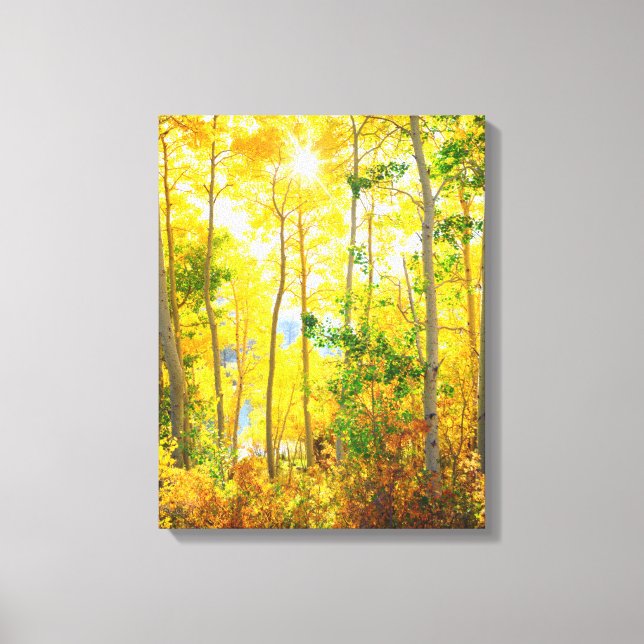 Aspen Trees In Fall | Sierra Nevada Mountains, CA Canvas Print (Front)