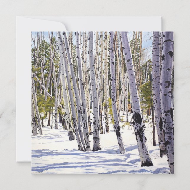 Aspen Trees in the Forest Invitation (Front)