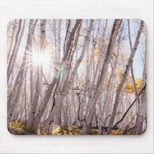 Aspen Trees Mouse Mat