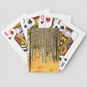 aspen trees playing cards