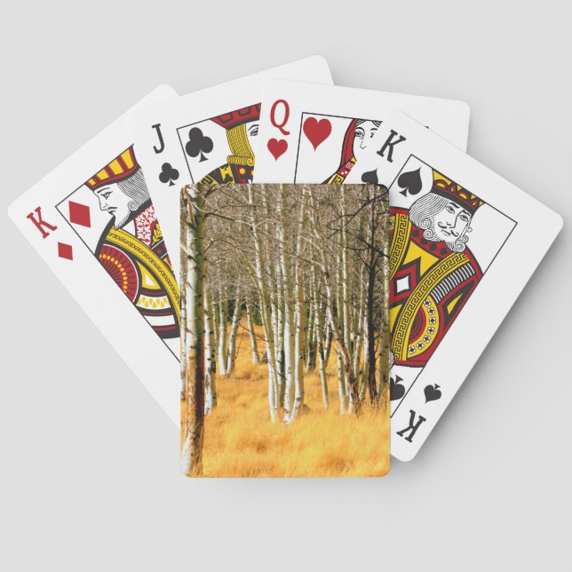 aspen trees playing cards (Back)