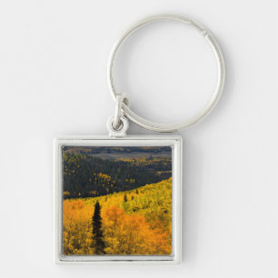 Aspen Trees (Populus Tremuloides) And Conifers Key Ring