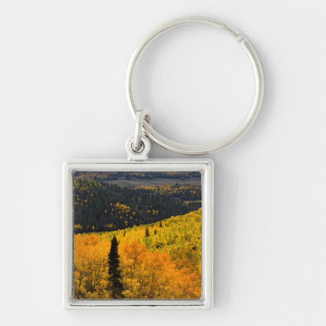 Aspen Trees (Populus Tremuloides) And Conifers Key Ring (Front)