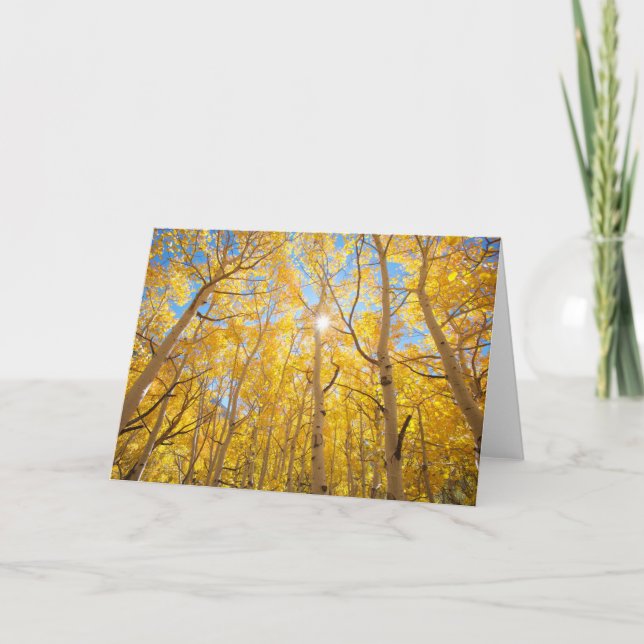 Aspen Trees | Sierra Nevada Mountains, CA Card (Front)