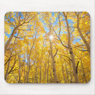 Aspen Trees   Sierra Nevada Mountains, CA Mouse Mat