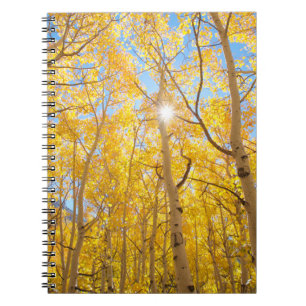 Aspen Trees Sierra Nevada Mountains, CA Notebook