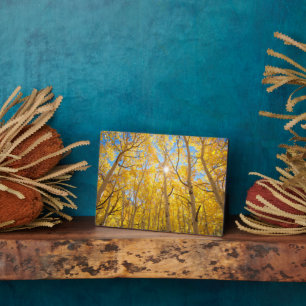 Aspen Trees Sierra Nevada Mountains, CA Plaque