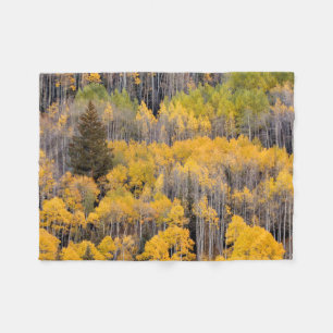 Aspen Trees White River National Forest Fleece Blanket