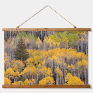 Aspen Trees   White River National Forest Hanging Tapestry