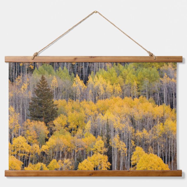 Aspen Trees | White River National Forest Hanging Tapestry (Front)