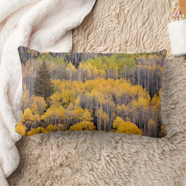 Aspen Trees | White River National Forest Lumbar Cushion (Blanket)