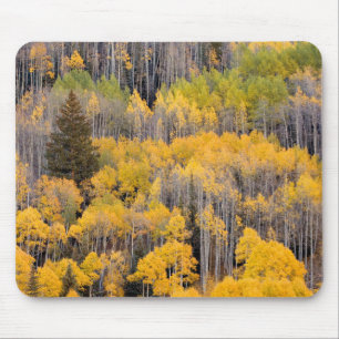 Aspen Trees   White River National Forest Mouse Mat