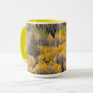 Aspen Trees White River National Forest Mug