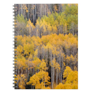 Aspen Trees White River National Forest Notebook