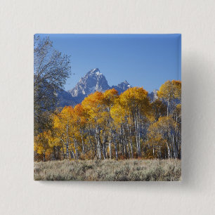 Aspen trees with the Teton mountain range 15 Cm Square Badge